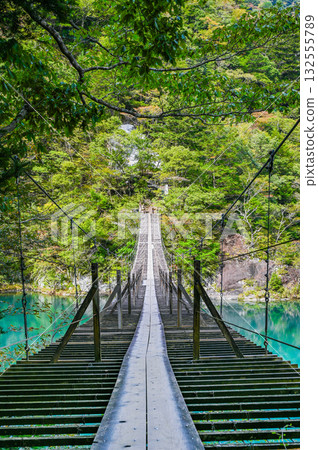 靜岡縣須俁峽的夢幻懸索橋 132555789