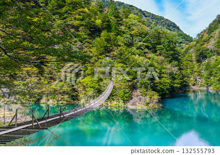 Dream Suspension Bridge in Sumata Gorge, Shizuoka Prefecture Dream Suspension Bridge in Sumata Gorge, Shizuoka Prefecture 132555793