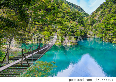 靜岡縣須俁峽的夢幻懸索橋 靜岡縣須俁峽的夢幻懸索橋 132555795