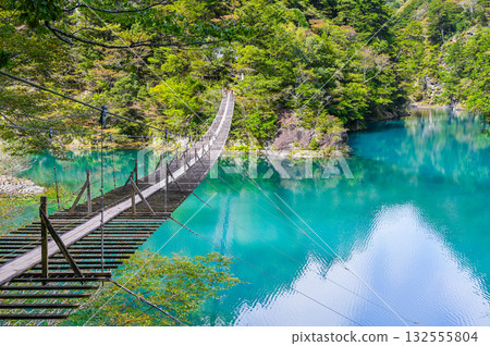 Dream Suspension Bridge in Sumata Gorge, Shizuoka Prefecture 132555804
