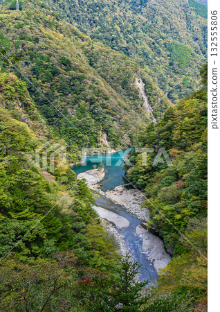 Dream Suspension Bridge in Sumata Gorge, Shizuoka Prefecture Dream Suspension Bridge in Sumata Gorge, Shizuoka Prefecture 132555806