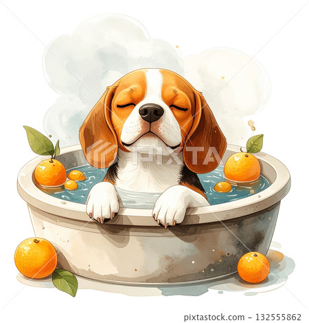 Watercolor illustration of a beagle dog relaxing in a yuzu bath (winter solstice, Japanese custom) 3 / Material for flyers and posters 132555862