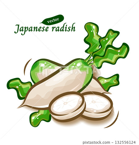 兩顆新鮮白蘿蔔和一片蘿蔔的插圖 | 可愛的蔬菜普普藝術 兩顆新鮮白蘿蔔和一片蘿蔔的插圖 | 可愛的蔬菜普普藝術 132556124