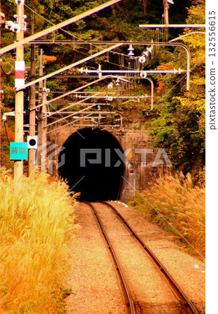 出了隧道，你就到了福島縣…搭乘彌彥鐵道[男鹿高原站]前往秋色秀麗的南會津。 132556615