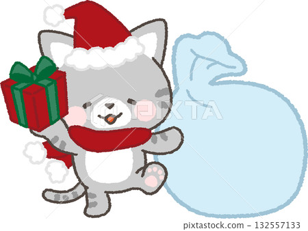 A frame of a tabby cat wearing a Santa hat and a bag holding a gift A frame of a tabby cat wearing a Santa hat and a bag holding a gift 132557133