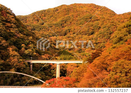 Crossing the autumn sky over the hot spring village... A train journey to the autumnal beauty of Kawaji Onsen on the Yagan Railway [Kawaji Onsen Station to Kawaji Yumoto Station] 132557237