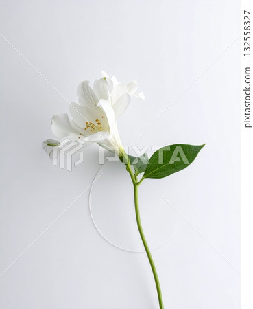 A simple white flower in a clear vase 132558327
