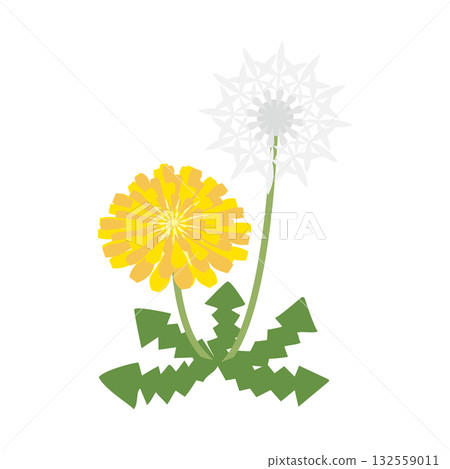 蒲公英和絨毛插圖 蒲公英和絨毛插圖 132559011