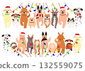 Christmas dogs in Santa hats and scarves, front and back Christmas dogs in Santa hats and scarves, front and back 132559075