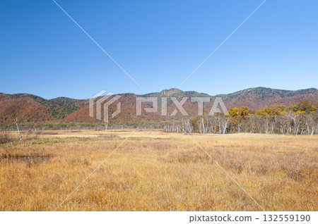 View of Mount Kaku and Ozegahara from Ozegahara, Katashina Village, Gunma Prefecture 132559190