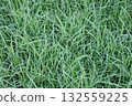 Overgrown Grass 132559225
