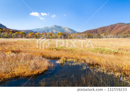 Mount Shibutsu and the pond as seen from Ozegahara, Katashina Village, Gunma Prefecture 132559233
