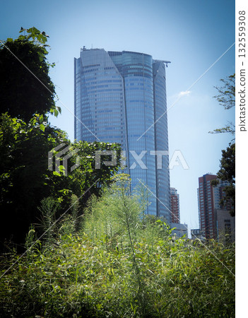 從青山墓園眺望六本木新城 132559308