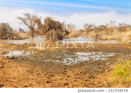 View of Lake Manyara National Park in Tanzania View of Lake Manyara National Park in Tanzania 132559534