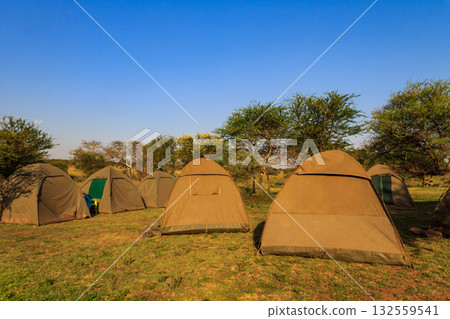 Safari campsite in Serengeti National Park, Tanzania 132559541