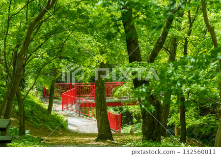 「紅葉谷」(三重郡四日市水澤町)的清新綠意 「紅葉谷」(三重郡四日市水澤町)的清新綠意 132560011