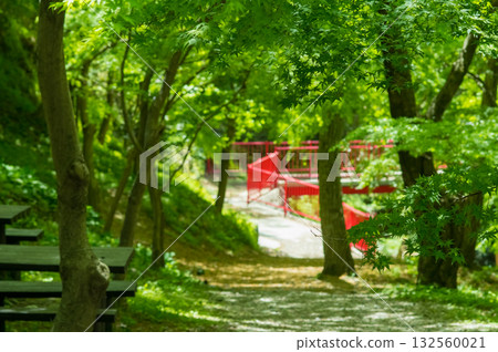 「紅葉谷」(三重郡四日市水澤町)的清新綠意 「紅葉谷」(三重郡四日市水澤町)的清新綠意 132560021