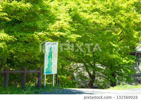 「紅葉谷」（三重郡四日市水澤町）的清新綠意 132560028