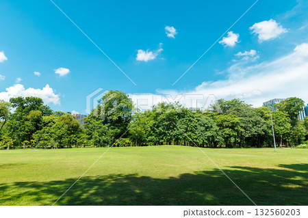 Public park in modern green city, Metro greenery space for clear ozone saving environment summer blue sky background 132560203