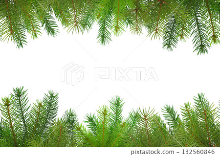 Vibrant green pine branches create a cheerful border, isolated, PNG 132560846