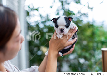 波士頓梗幼犬和女人 132560912