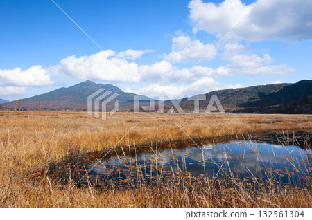 Mt. Hiuchigatake and the pond seen from Ozegahara, Katashina Village, Gunma Prefecture 132561304