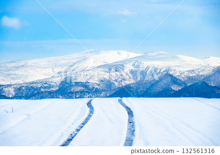 北海道美瑛市的冬季雪景，道路上留有車轍。 132561316