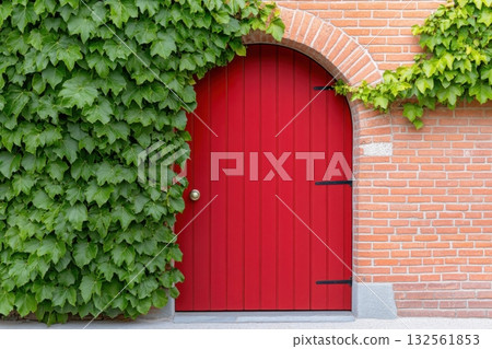 Rustic red wooden door adorned with vibrant ivy offers a glimpse into vintage European charm and warm nostalgia in soft natural light 132561853