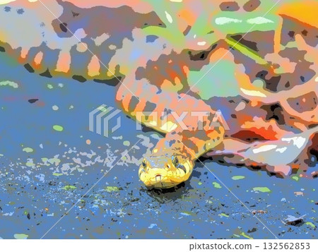 Yamakagashi in the morning after the rain (afr20251027072910) Yamakagashi in the morning after the rain (afr20251027072910) 132562853