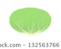 Simple cabbage illustration, white background 132563766