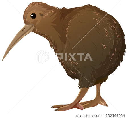 Brown Kiwi Bird Standing Side View Vector Illustration Brown Kiwi Bird Standing Side View Vector Illustration 132563934