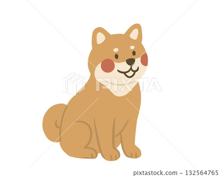 柴犬面朝前坐著的插圖 柴犬面朝前坐著的插圖 132564765