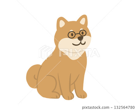 柴犬面朝前坐著的插圖 柴犬面朝前坐著的插圖 132564780