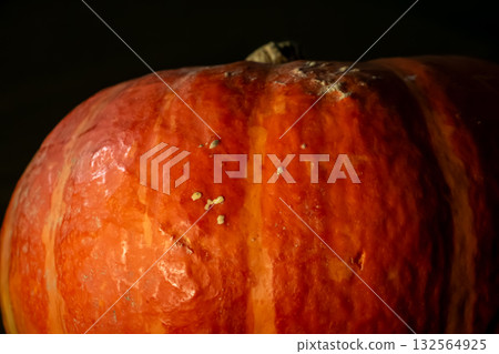 Close-Up of Orange Pumpkin With Stem and Textured Surface- Germany 132564925
