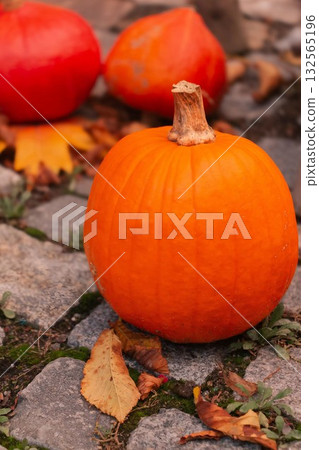 Autumn Pumpkins on Cobblestone Path 132565196