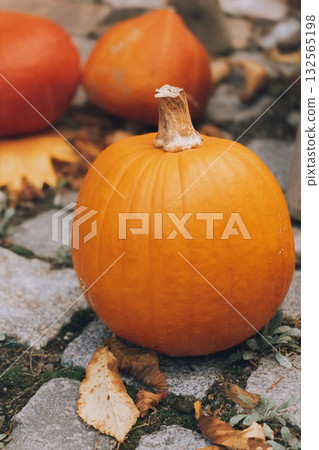 Pumpkins on Stone with Leaf Scatter 132565198