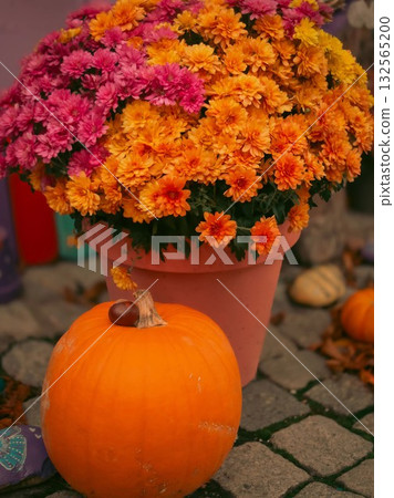 Rustic Autumn Arrangement with Pumpkin and Blooms Rustic Autumn Arrangement with Pumpkin and Blooms 132565200