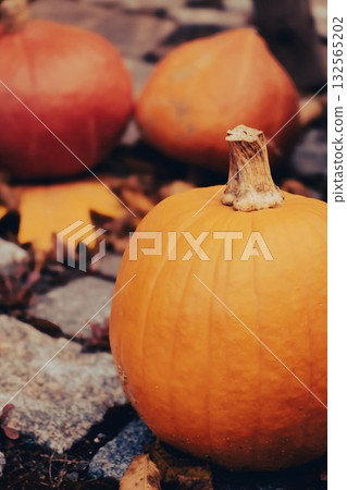 Seasonal Pumpkin Trio Outdoors Decor Seasonal Pumpkin Trio Outdoors Decor 132565202