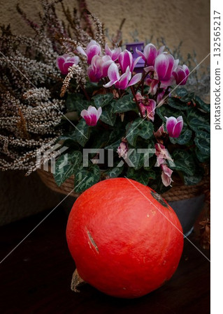 Pumpkin and Floral Composition Autumn, Pumpkin and Floral Composition Autumn, 132565217
