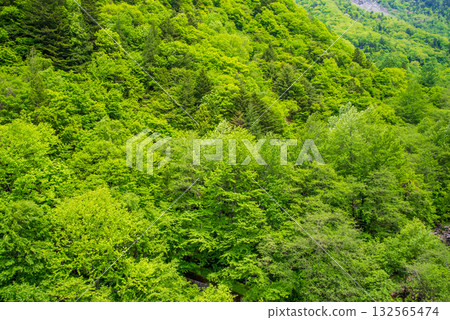 從北阿爾卑斯大橋(岐阜縣高山市奧飛驒溫泉村)看到的壯麗景色 從北阿爾卑斯大橋(岐阜縣高山市奧飛驒溫泉村)看到的壯麗景色 132565474