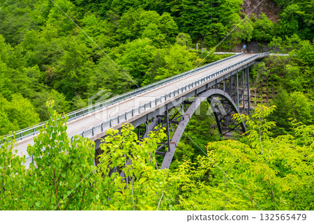 Fresh greenery on the Northern Alps Bridge (Okuhida Onsenkyo, Takayama City, Gifu Prefecture) Fresh greenery on the Northern Alps Bridge (Okuhida Onsenkyo, Takayama City, Gifu Prefecture) 132565479