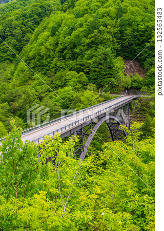 北阿爾卑斯大橋上的清新綠意（岐阜縣高山市奧飛驒溫泉橋） 132565483