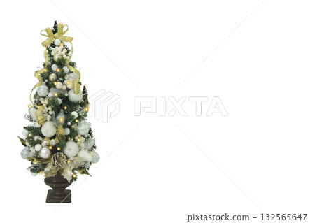 Christmas tree  132565647