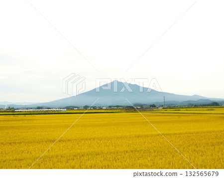 Iwakiyama和耳朵米飯 Iwakiyama和耳朵米飯 132565679