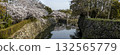 櫻花的風景 132565779