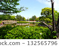 Chubu Park, Takahama City, Aichi Prefecture 132565796