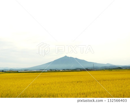 沐浴在夕陽下的岩木山 沐浴在夕陽下的岩木山 132566403
