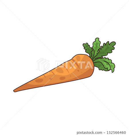 illustration of carrot illustration of carrot 132566460