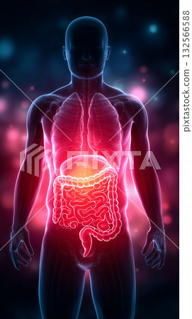 內部和腸道發炎的三維可視化 132566588