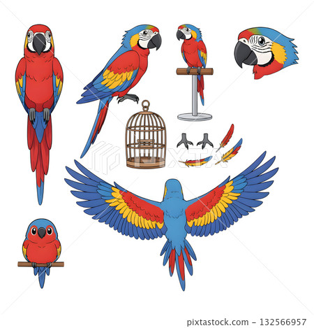Set of parrot character. illustration design 132566957